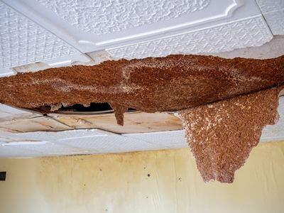 Professional burst pipe water damage services in Milwaukee - water damage restoration service